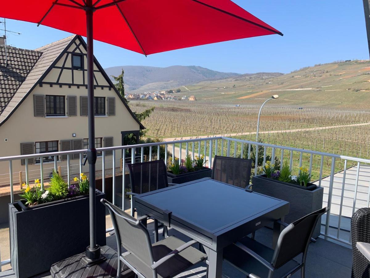 Gite Les Terrasses Du Mambourg A Kaysersberg-Vignoble Kültér fotó